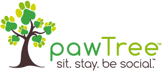 Paw Tree logo